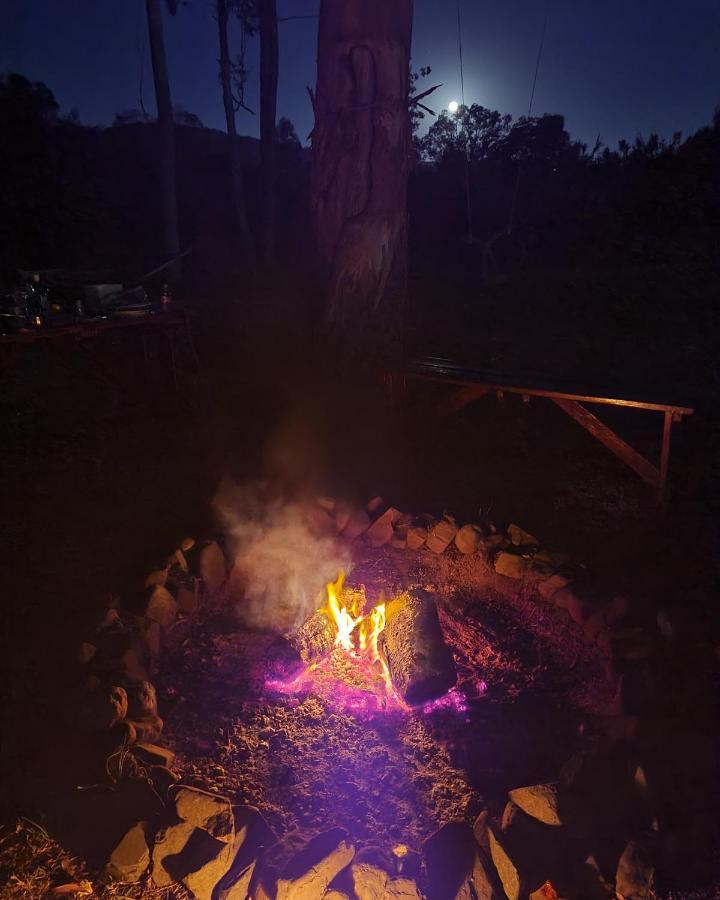 איסט לונדון Mackenzies Accommodation מראה חיצוני תמונה
